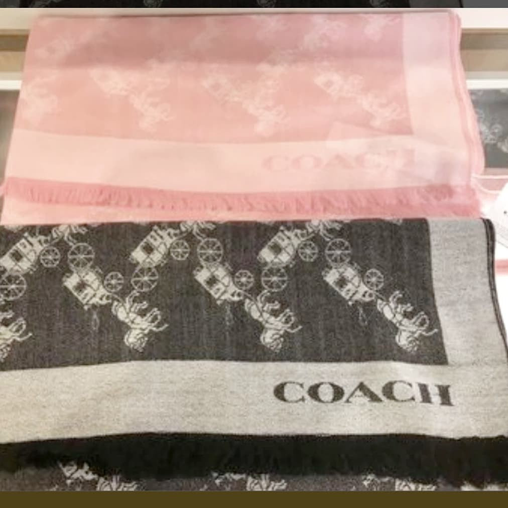 Coach Horse & Carriage Oversized Scarf Grey - chickuwait.com