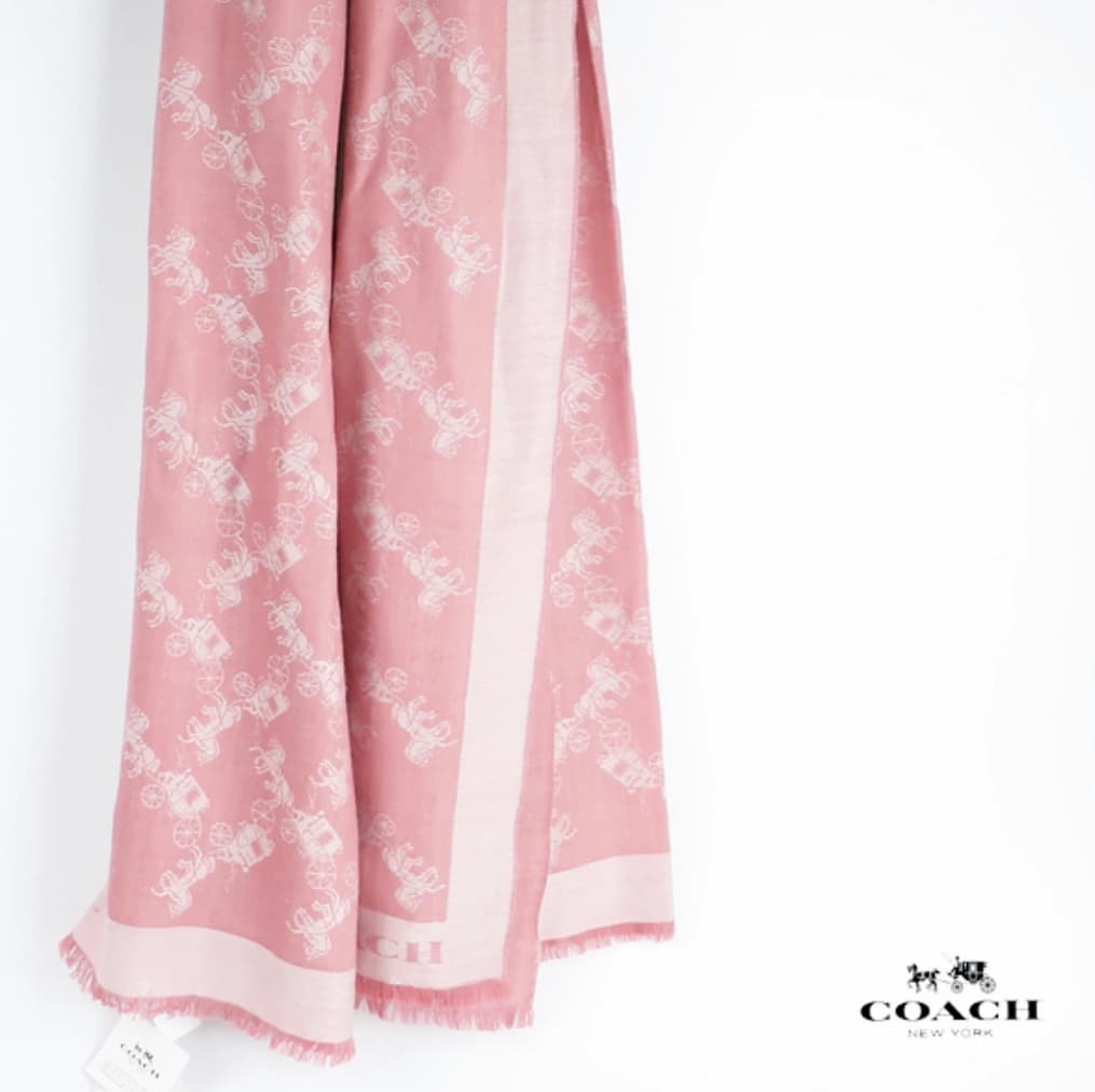 Coach Horse & Carriage Oversized Scarf - chickuwait.com