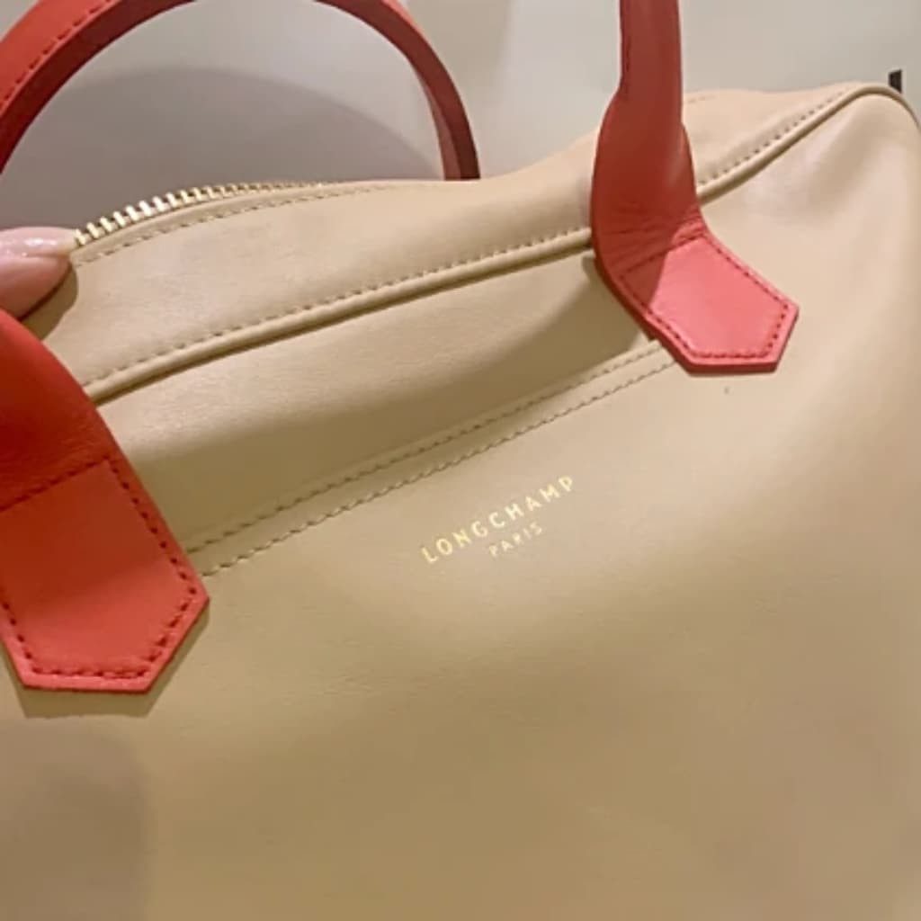 Longchamp leather hot sale bag outlet